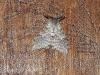 316373 – Photo : laurette roussel – Madagascar